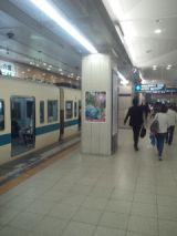 33811.jpg