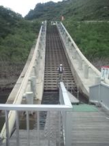 33823-2.jpg