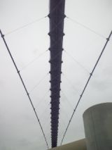 33824-1.jpg