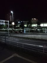 33855-2.jpg