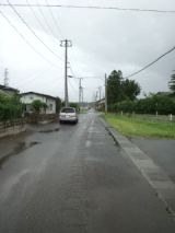 33869-4.jpg
