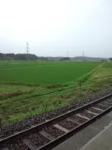 33869-5.jpg