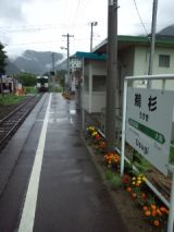 33904.jpg