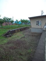 33911-1.jpg