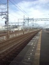 33943-1.jpg