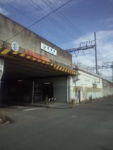 33943-3.jpg