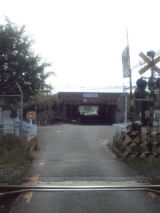33943-6.jpg
