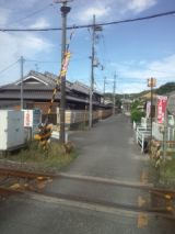 33943-7.jpg