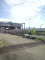 33946-4.jpg