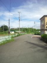 33946-5.jpg