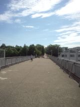 33948-3.jpg