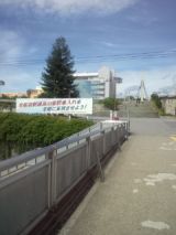 33948-4.jpg