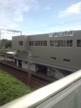 33948-5.jpg
