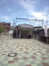 33953-2.jpg