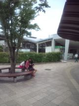 33962-5.jpg
