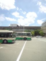 33964-3.jpg
