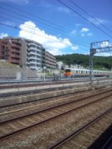 33966-1.jpg