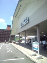 33966-5.jpg