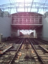 33977-2.jpg