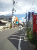 33978-4.jpg