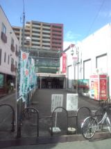 33979-4.jpg