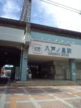 33981-3.jpg