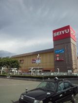 33981-4.jpg