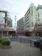 33982-3.jpg