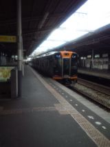 33982.jpg