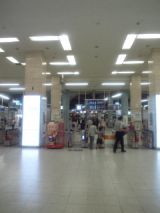 33987-2.jpg