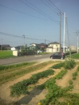 34019-4.jpg