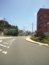34031-6.jpg