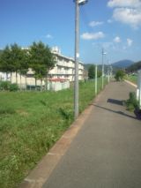 34040-1.jpg