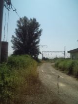 34070-4.jpg