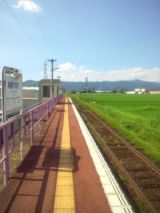 34079-4.jpg