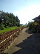34081-3.jpg