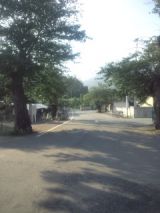 34103-1.jpg