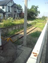 34103-3.jpg
