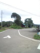 34162-1.jpg