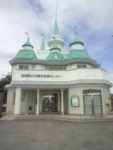 34163-5.jpg