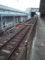 34171-1.jpg