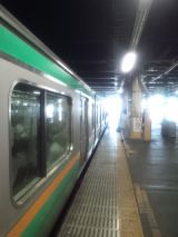 34172.jpg