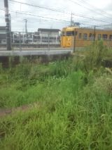 34261-7.jpg