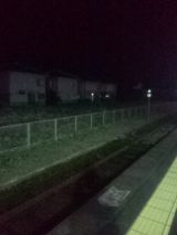 34310-2.jpg