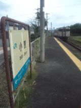 34320.jpg