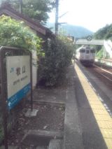 34325.jpg