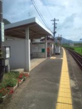34329-1.jpg