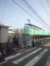 34382-2.jpg