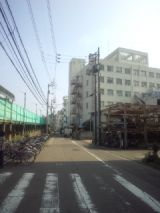 34382-3.jpg