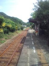 34386-1.jpg